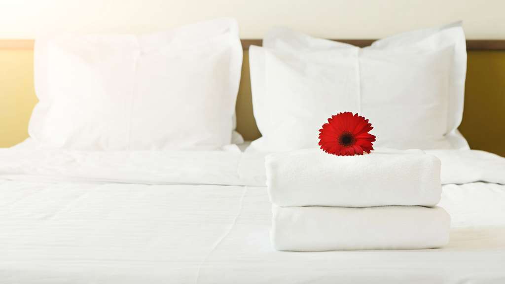 Nisswa Inn And Suites Rom bilde